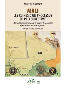 Mali - Les ruines d'un processus de paix surestimé