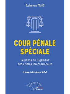 COUR PÉNALE SPÉCIALE la phase de jugement des crimes internationaux