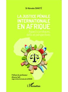 La justice pénale internationale en Afrique