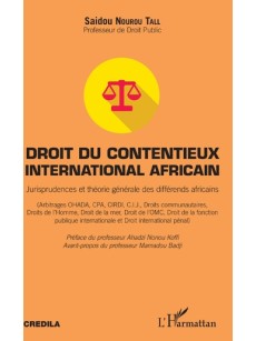 Droit du contentieux international africain