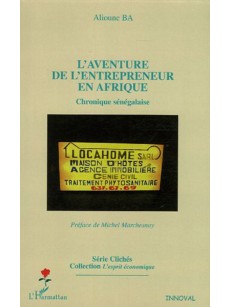 L'aventure de l'entrepreneur en Afrique