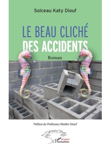 Le Beau cliché des accidents /Roman