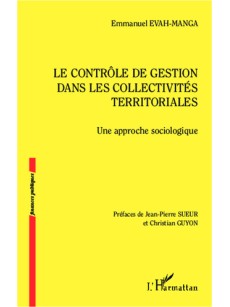 Le contrôle de gestion dans les collectivités territoriales