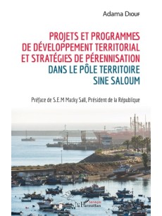 Projets et programmes de développement territorial et stratégies de pérennisationl dans le pole territoire sine saloum