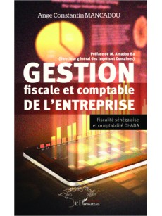 Gestion fiscale et comptable de l'entreprise