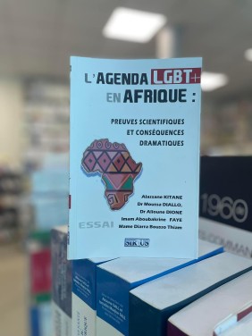 L'AGENDA LGBT en AFRIQUE