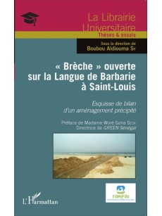 Brèche ouverte sur la Langue de Barbarie à Saint-Louis