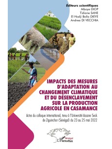 IMPACTS DES MESURES D'ADAPTATION AU CHANGEMENT CLIMATIQUE ET DU DESENCLAVEMENT SUR LA PRODUCTION AGRICOLE EN CASAMANCE