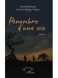 Pénombre d'une vie poème