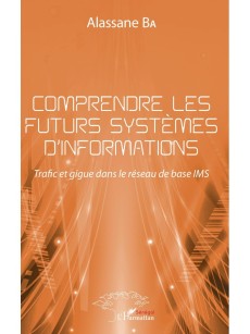 Comprendre les futurs systèmes d'informations