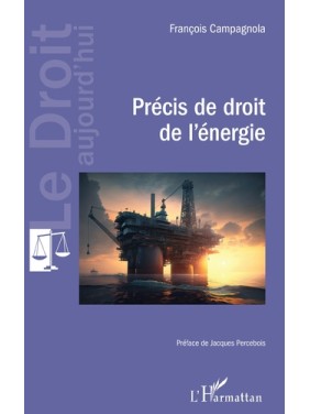 Précis de droit de l'énergie