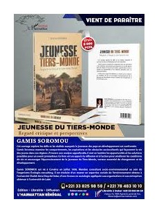 JEUNESSE TIERS-MONDE REGARD CRITIQUE ET PERSPECTIVE