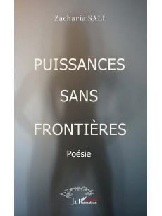 PUISSANCES SANS FRONTIERES