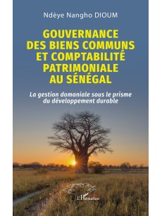 GOUVERNANCE DES BIENS COMMUNS ET COMPTABILITE PATRIMONIALE AU SENEGAL