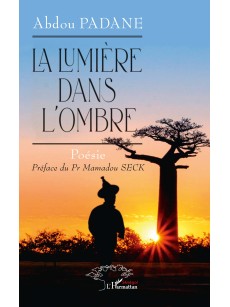 LA LUMIERE DANS L'OMBRE