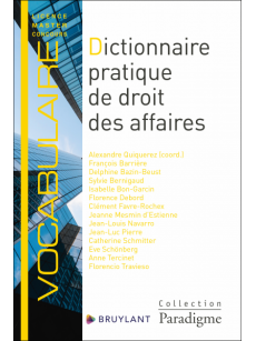 Dictionnaire pratique de droit des affaires