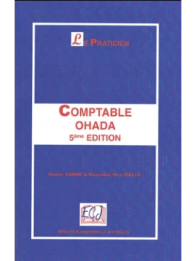 LE PRATICIEN COMPTABLE...